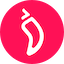 CHZ logo